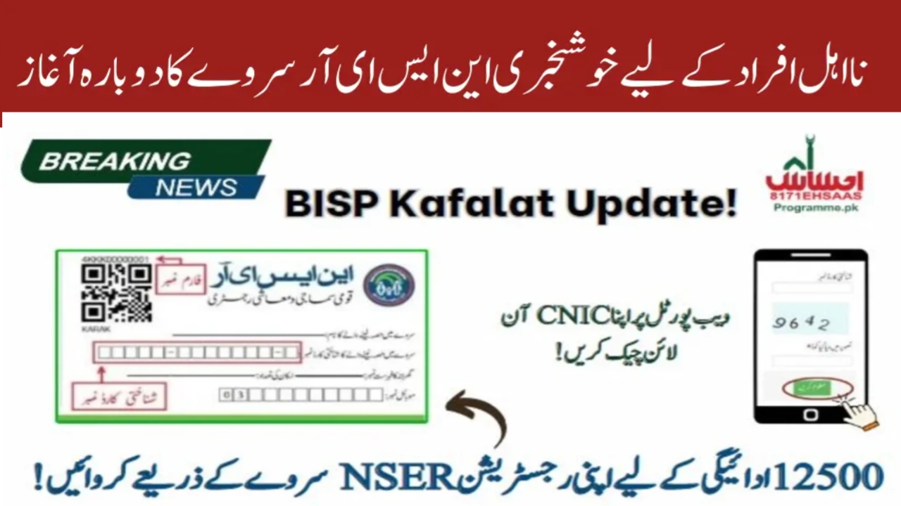 Amazing News BISP Online Survey 2025 And Registration